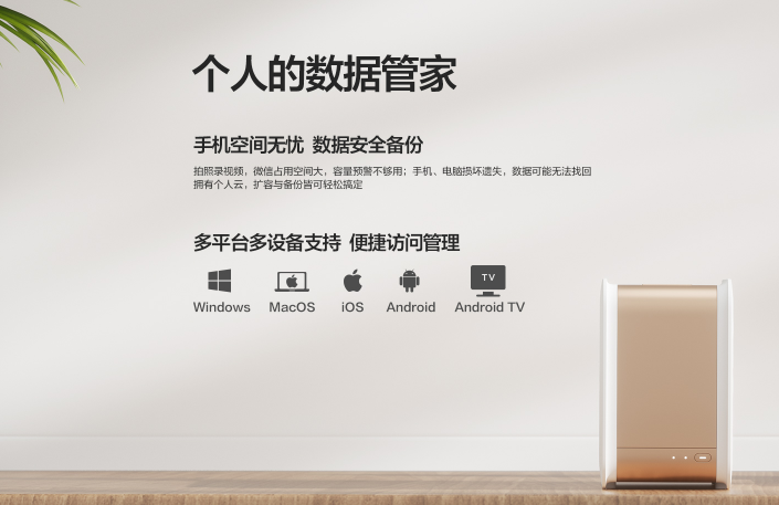 網(wǎng)絡(luò )應用決策層